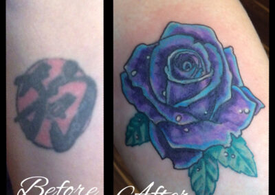 rose-cover-up